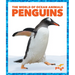 Penguins