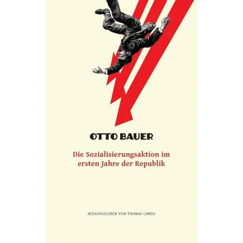 Die Sozialisierungsaktion im ersten Jahre der Republik