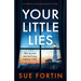 Your Little Lies: An Addictive and Gripping Domestic Thriller