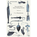 Few and Short - Some Fishing Stories