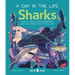 Sharks (a Day in the Life): What Do Great Whites, Hammerheads, and Whale Sharks Get Up to All Day?