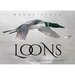 Loons: Treasured Symbols of the North