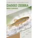 Danio Zebra: From Novice to Expert. Comprehensive Aquarium Fish Guide