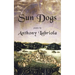 Sun Dogs