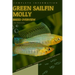 Green Sailfin Molly: From Novice to Expert. Comprehensive Aquarium Fish Guide
