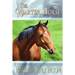 The Quarter Horse