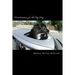 Considerations for the City Dog