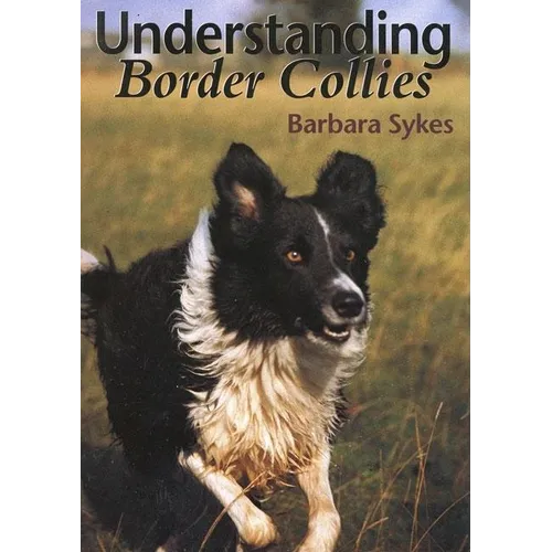 Understanding Border Collies