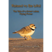 Raised to Be Wild: The Tale of a Great Lakes Piping Plover