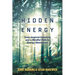 Hidden Energy: Tesla-inspired inventors and a mindful path to energy abundance