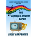 The Sinister Sitcom Caper: A Sandy Fairfax Teen Idol Mystery