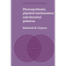 Photosynthesis: Physical Mechanisms and Chemical Patterns