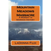 Mountain Meadows Massacre