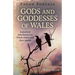 Pagan Portals - Gods and Goddesses of Wales: A Practical Introduction to Welsh Deities and Their Stories