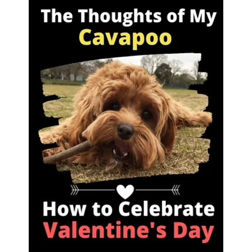 The Thoughts of My Cavapoo: How to Celebrate Valentine's Day