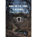House in the Canyon: A Historical Fictional Mystery
