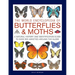 The World Encyclopedia of Butterflies & Moths: A Natural History and Identification Guide to Over 565 Varieties Around the Globe