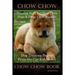 Chow Chow Training Book for Chow Chow Dogs * Chow Chow Puppies By D!G THIS DOG Training, Dog Training Begins From the Car Ride Home, Chow Chow Book