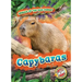 Capybaras