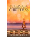 An Entagnled Christmas: A Merge Series Christmas Novel
