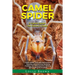 Camel Spider: A Camel Spider Pet Owner's Guide