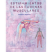 Estiramientos de Las Cadenas Musculares