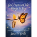God Promised Me Wings to Fly: Life for Survivors After a Tragedy