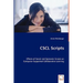 CSCL Scripts - Effects of Social and Epistemic Scripts on Computer-Supported Collaborative Learning