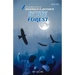 In the Forest (The Adventures of Archibald & Jockabeb)