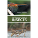 An Elementary Study of insects