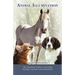 Animal Illumination: The Essential Guide to Learning Intuitive Animal Communication