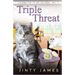 Triple Threat: A Norwegian Forest Cat Café Cozy Mystery - Book 17