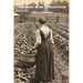 The Story of an African Farm (Annotated)