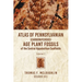 Atlas Of Pennsylvanian (Carboniferous) Age Plant Fossils of the Central Appalachian Coalfields: Volume 2
