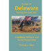 Essays on Delaware during the Civil War: A Political, Military and Social Perspective