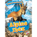 Alpine Ibex