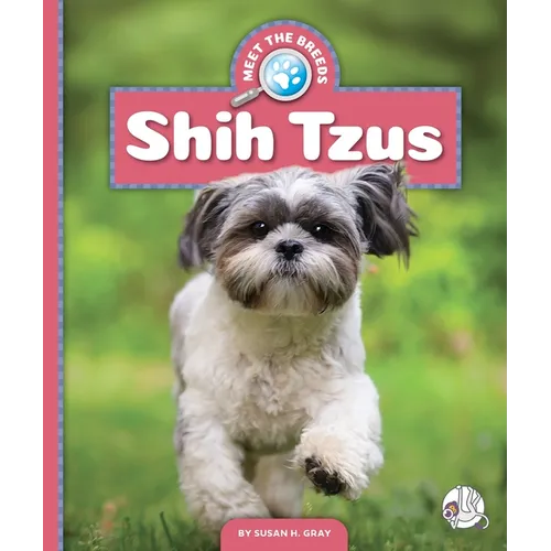 Shih Tzus