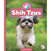 Shih Tzus