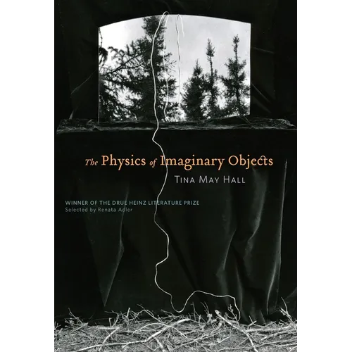 The Physics of Imaginary Objects