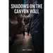 Shadows on the Canyon Wall