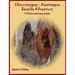 Chincoteague-Assateague Seaside Adventure: A Photo-Journey Guide