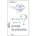 Qu'est-CE Que Le Principe de Precaution?