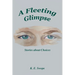 A Fleeting Glimpse: Stories about Choices