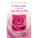 If You Love, It Means You Are Alive!