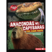 Anacondas vs. Capybaras: Food Chain Fights