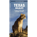 Texas Wildlife: An Introduction to Familiar Species