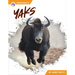 Yaks