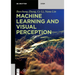 Machine Learning and Visual Perception