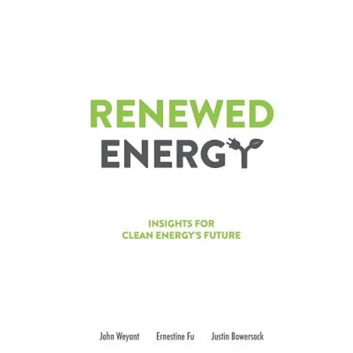 Renewed Energy: Insights for Clean Energy's Future