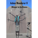 Ashen Wanderer II: Whisper to the Breeze